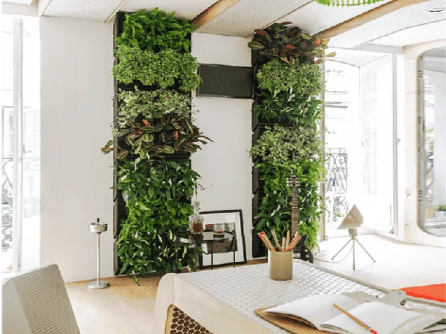 Jardín vertical interior en la oficina: Beneficios y cómo implementarlo 