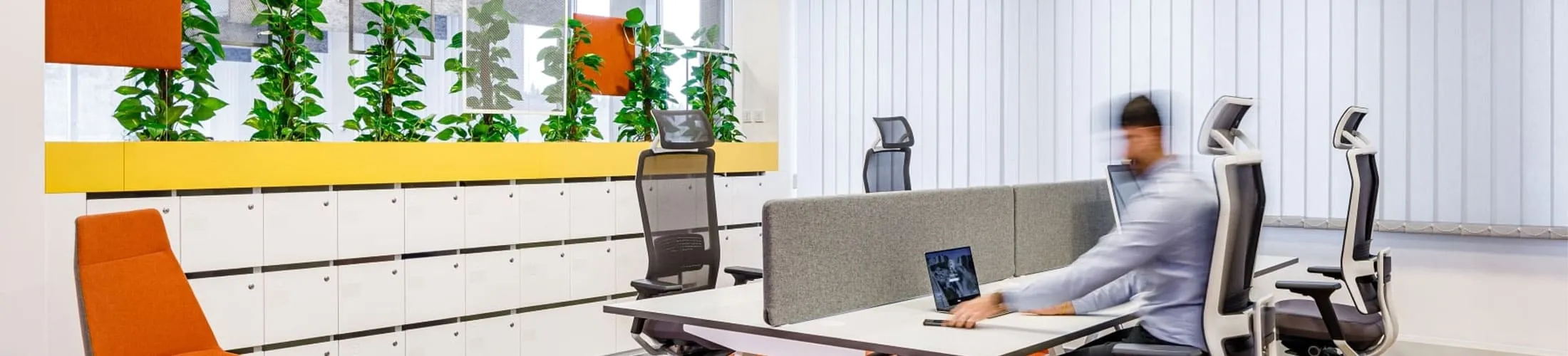 6 colores para oficinas modernas imprescindibles