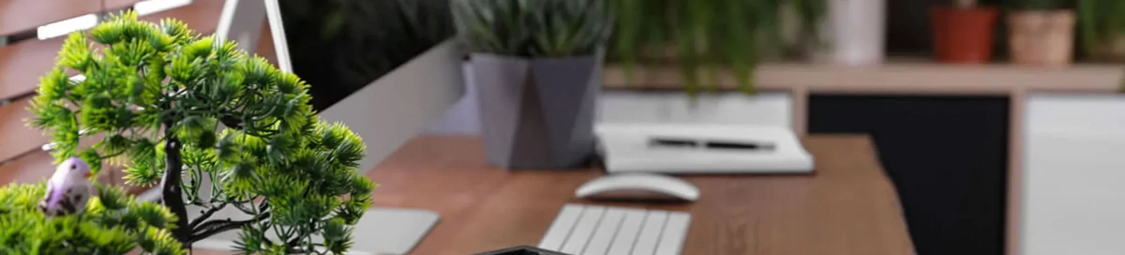 Los 9 colores para oficinas según Feng Shui