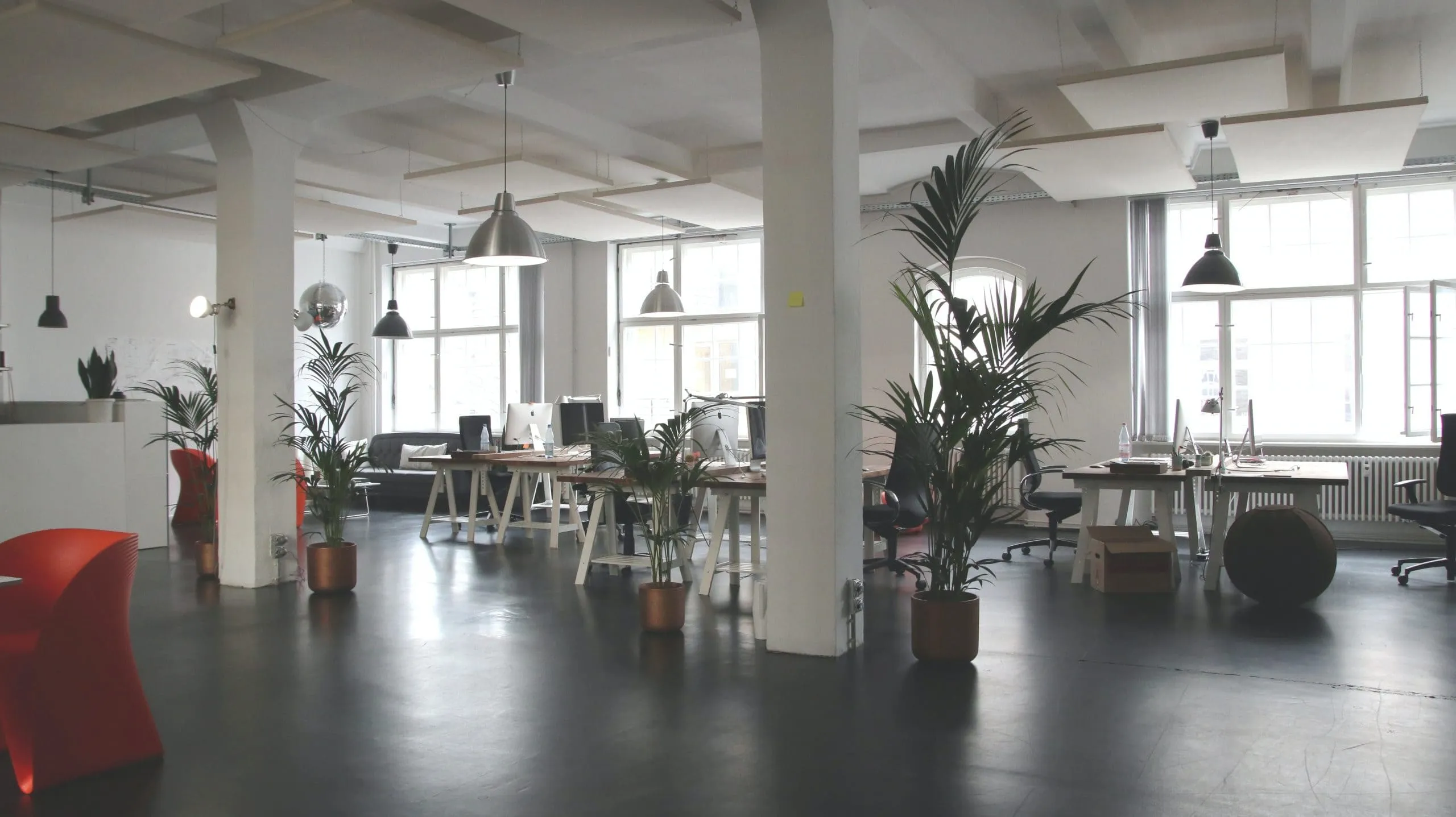 5 beneficios que aportan las plantas en la oficina
