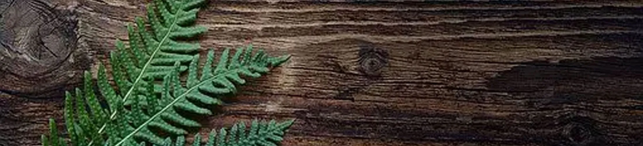 Quitar manchas en madera barnizada con productos del hogar